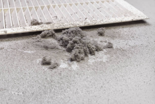 Best HVAC Duct Inspection Services  in Monrovia, MD